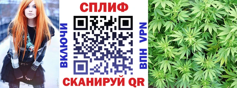 Где купить наркотики Каргополь Alpha PVP  Меф мяу мяу  COCAIN  ГАШ  Галлюциногенные грибы  Метадон  omg рабочий сайт  Каннабис 